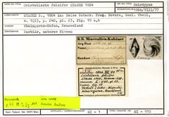 Karteikarte zum Holotyp von Cristellaria falcifer Stache, 1864